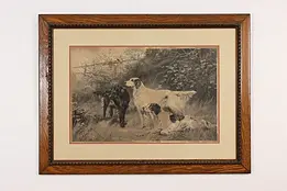 Three Hunting Dogs Antique Engraving after Blinks 43.5" #48469