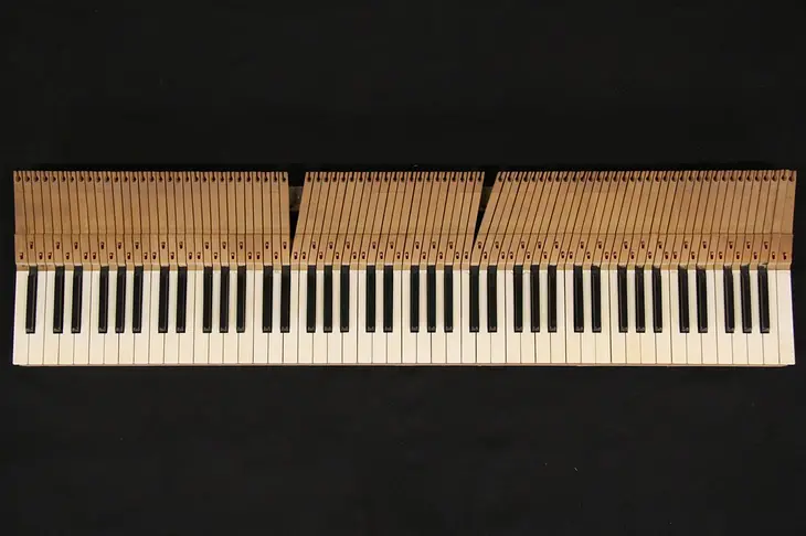 Set of "Ivory" & Ebony Piano Keys,  88 Keys