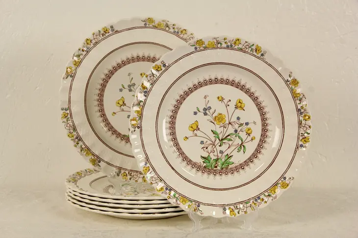 English Spode Buttercup Set of 7 Dinner Plates