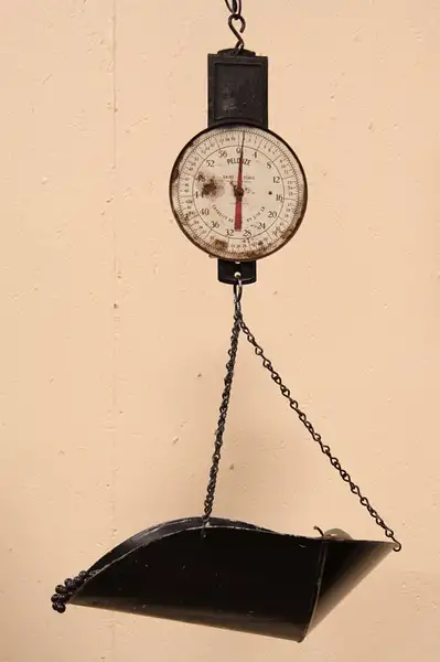 Main image of Pelouze Country Hanging Dairy Scale