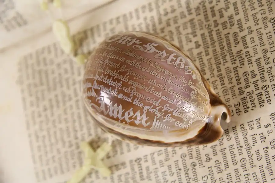 Main image of Lord's Prayer Carved on Cowrie Sea Shell