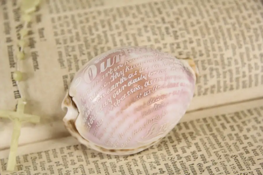 Main image of Cowrie Sea Shell Carved Lord's Prayer