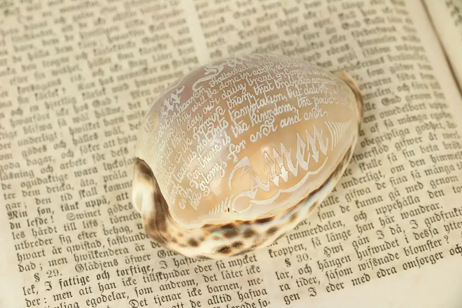 Main image of Carved Lord's Prayer on Cowrie Sea Shell