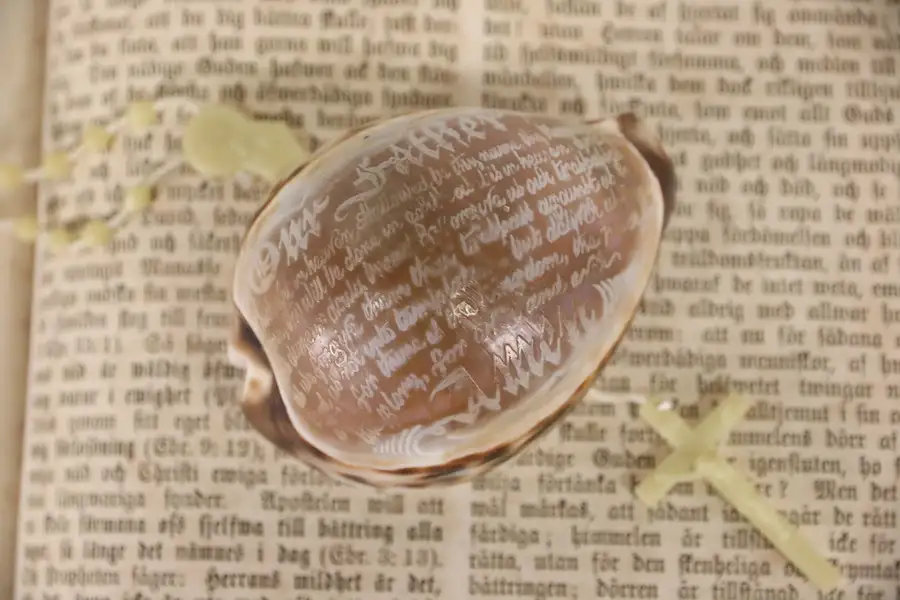 Main image of Cowrie Sea Shell Carved With The Lord's Prayer