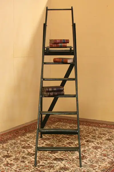Main image of Folding Library Ladder with Shelf