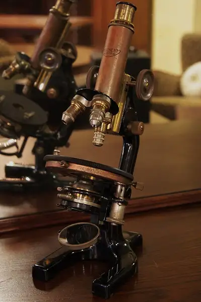 Main image of Reichert Austria 1900 Brass Microscope