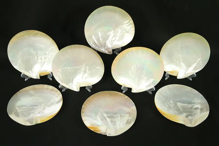 Main image of Set of 8 Vintage Mother of Pearl Natural Shell Seafood Plates
