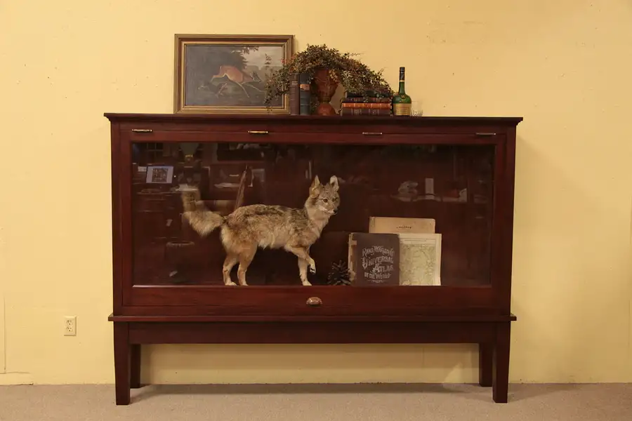 Main image of Mahogany Museum Trophy or Taxidermy Showcase
