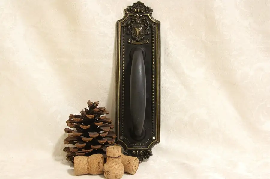 Main image of Brass & Iron Antique 1900 Door Handle & Back Plate