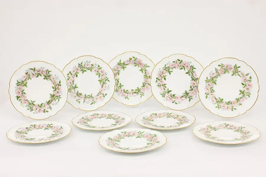 Main image of Set of 10 Hand Painted French Limoges Antique 9.5" Plates