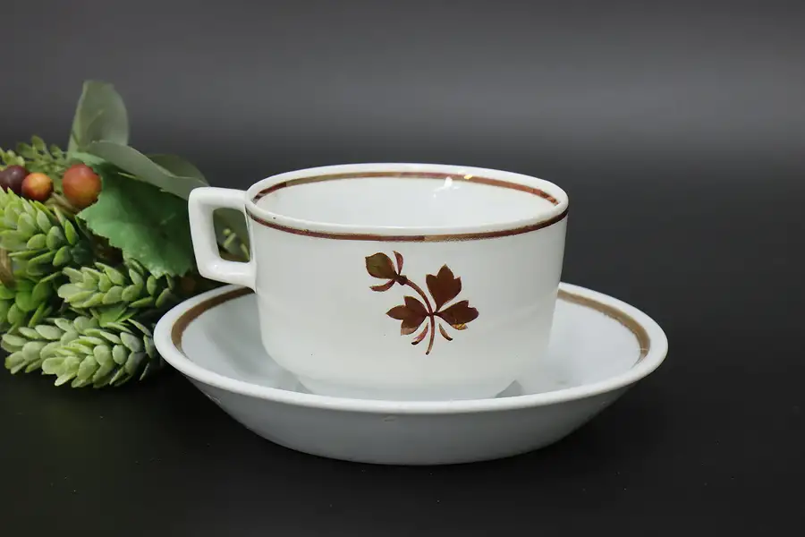 Main image of English Antique Tea Leaf Tea Cup & Saucer, Meakin