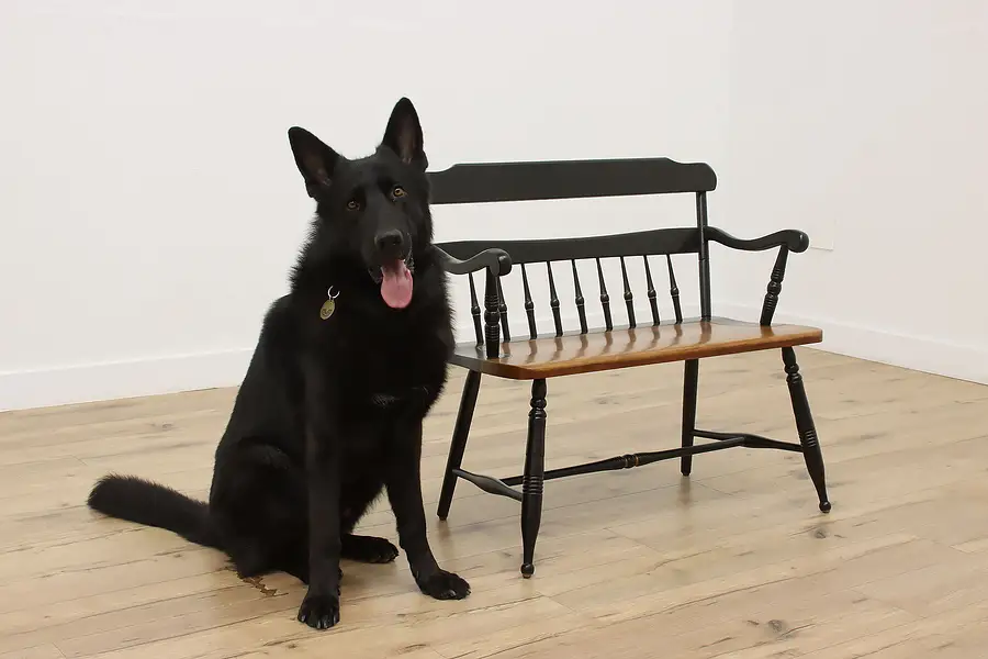 Main image of Colonial Farmhouse Vintage Ebonized Hall Bench, Bent Bros