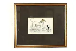 St. Bernard & Spaniel Antique Colored Engraving After Stewart 12.5" #39406