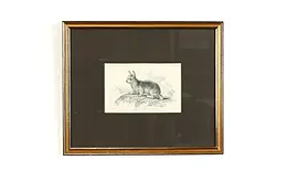 Isle of Skye Terrier Antique Colored Engraving After Stewart 12.5" #39404