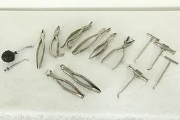 Dental Instruments Collection of 14 Nickel Antique Dentist Tools Pat 1898 #32725