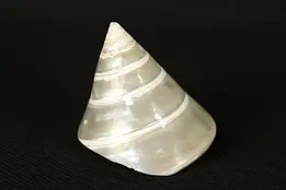Sea Shell, Spiral with Small Chip #29397