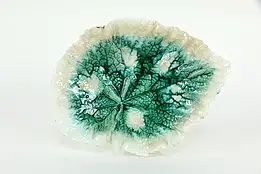 Victorian Majolica Begonia Antique 9.5" Leaf Plate, Chips #35528