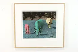 Moohargies of Fredericksburg Texas, Silverprint 1988 James B. Bissell 30" #38476