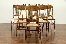 Victorian Set of 6 Antique Pressback Carved Elm & Oak Dining Chairs #31285