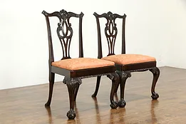 Pair of Georgian Chippendale Antique Mahogany Chairs, Claw Feet #35469