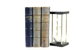 Set of Three Antique Leatherbound Swedish Books, Krusenstjerna #40456