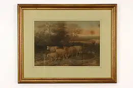 Grazing Sheep in Field Antique Art Print, Riecke for Tabor 25.5" #41201