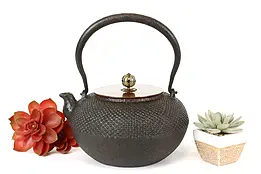 Japanese Vintage Cast Iron & Bronze Teapot or Kettle #41455