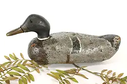 Farmhouse Carved Folk Art Antique Duck Decoy Cork Sculpture #42435