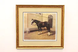 British Calvary Horse Original Vintage Print, Fraser 35" #45107