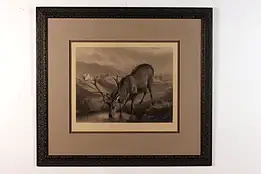 Black Forest Hart Antique Original Engraving, Carter 46.5" #45958