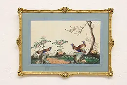 Asian Birds Antique Original Watercolor Painting on Silk 17" #46519