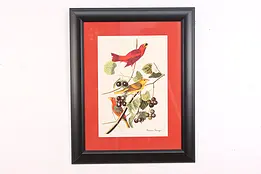 Summer Tanager Birds of America Print after Audubon 33.5" #47461
