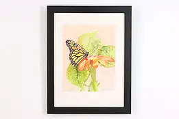 Monarch Butterfly Vintage Original Watercolor, Becht 18" #49720