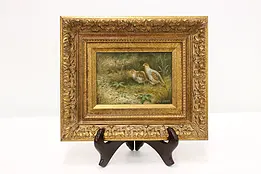 Pair of Grouse Birds Antique Original Painting, Cannon 13" #49506