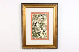 Butterflies & Flowers Vintage Original Print 25.5" #49741