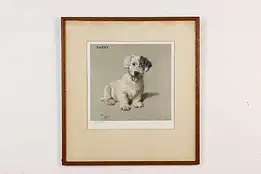 Barry Terrier Dog Antique Lithograph Print, Aldin 22" #50577