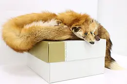 Fox Fur Vintage Stole or Wrap, Prange #50614