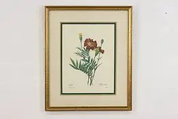 Marigolds Antique Botanical Print, Redoute 18.5" #52971