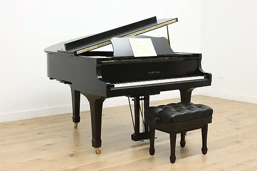 Musical & Related category