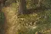 Thumbnail image 8