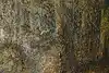 Thumbnail image 9