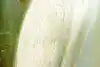 Thumbnail image 9