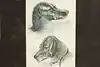 Thumbnail image 1
