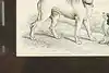 Thumbnail image 8