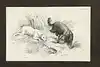 Thumbnail image 1