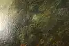 Thumbnail image 11