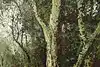 Thumbnail image 11