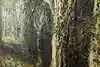 Thumbnail image 12
