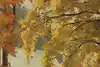 Thumbnail image 10