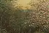 Thumbnail image 10